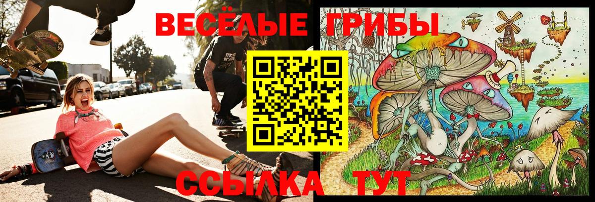 Псилоцибиновые грибы MAGIC MUSHROOMS  Вход с VPN  как найти наркотики  Лянтор 